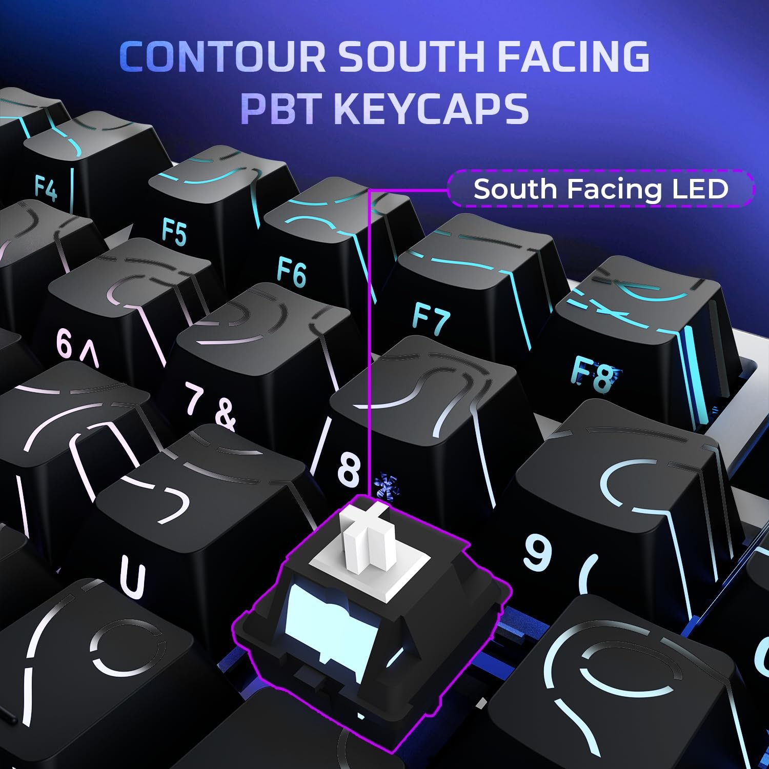 EvoFox Ronin X75 Plus Tri-Mode Gaming Wireless Mechanical Keyboard, Gasket Mount, 5 Layer Sound Dampening, South Facing LED, Pass-Through Keycaps, 8000 mAh Battery, Hot Swap, Multi OS Web Software